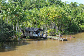 Rondreis Brazilië Amazone, 19 dagen