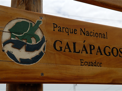 Galapagos; the world's most amazing zoo