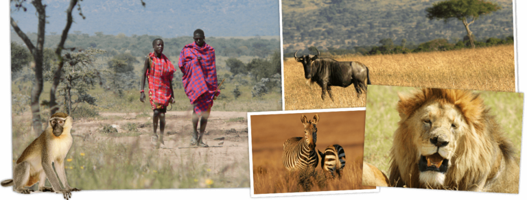 Bekijk de Rondreis Kenia & Tanzania, 18 dagen lodge/hotelreis van Djoser