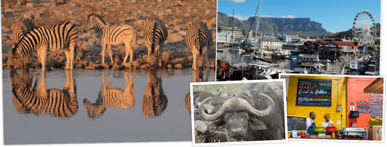 Bekijk de Rondreis Zuid-Afrika, Lesotho & Swaziland, 22 dagen hotel/chaletreis van Djoser