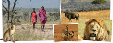 Bekijk de Rondreis Kenia & Tanzania, 18 dagen lodge/hotelreis van Djoser