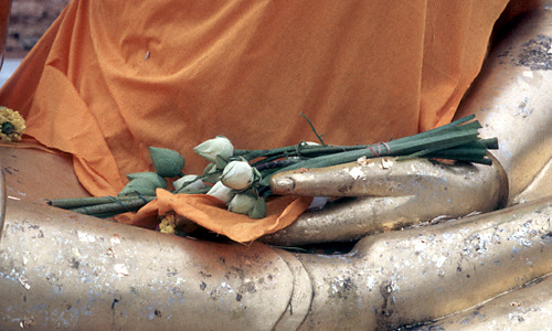 Boeddha - hand