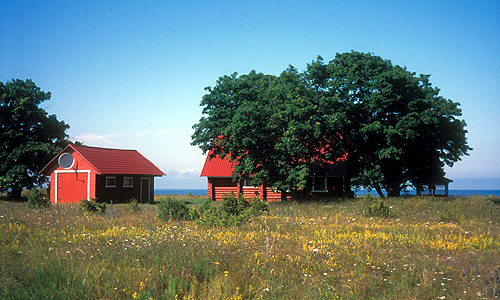 Saaremaa - huizen