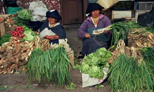 Otavalo – groentemarkt