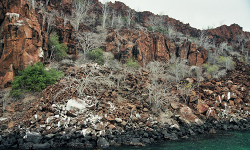Galapagos - eiland