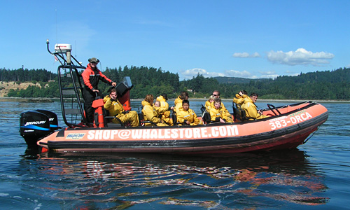 Orca's spotten bij Victoria op Vancouver Island