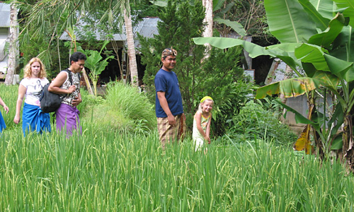 Pangandaran - wandeling over de rijstvelden