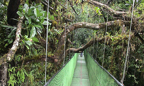 Monteverde - canopytour