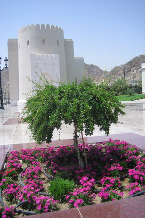 het fort van Muscat