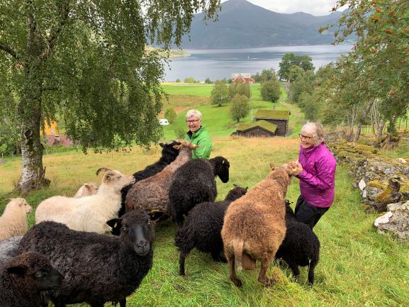 Noorwegen - farmbezoek