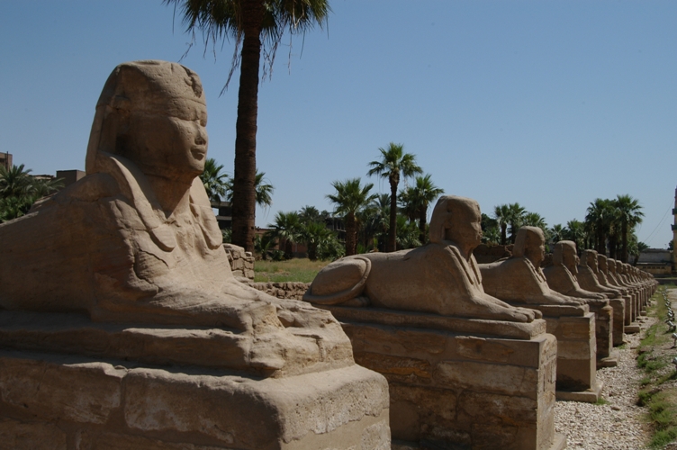Sphynxen Luxor Egypte Junior Djoser 