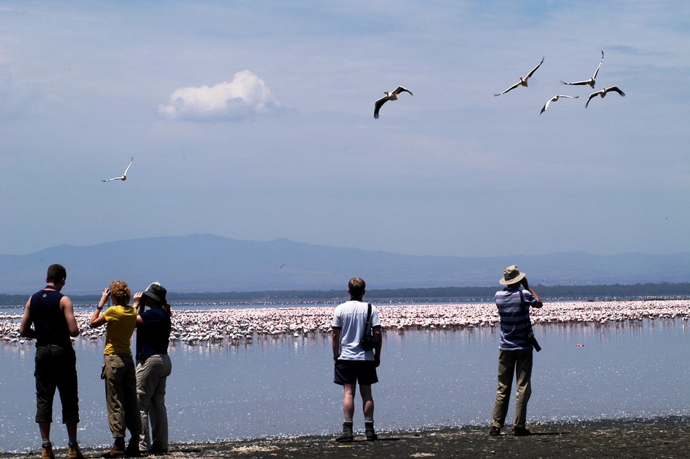 Lake Nakuru flamingo Kenia KTZA