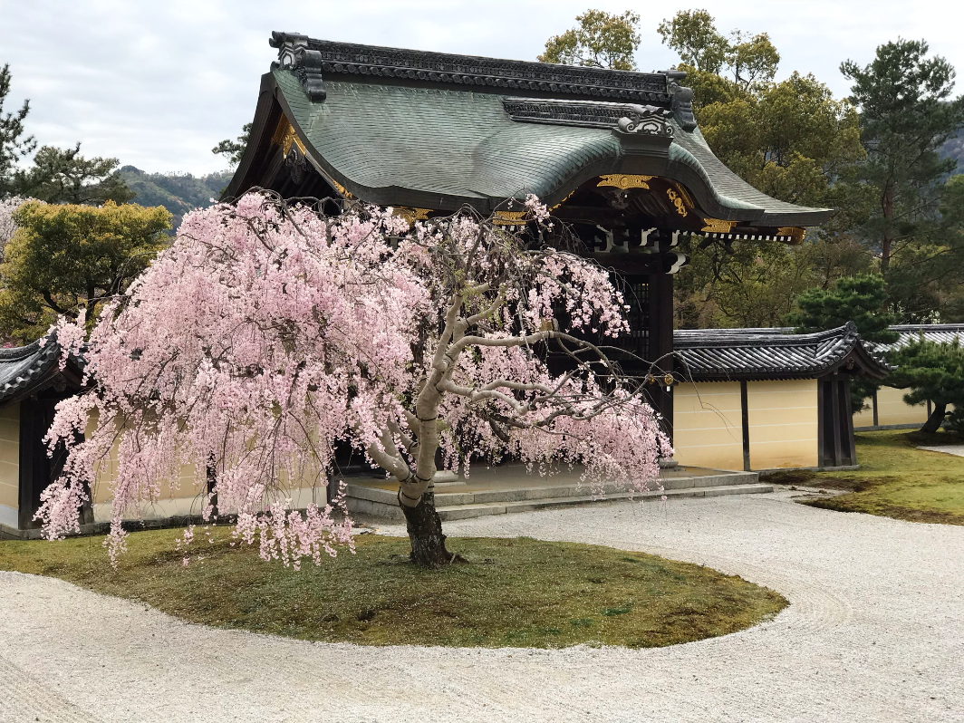 Daikakuji tempel Kyoto Japan