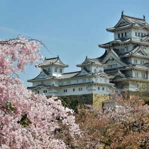 Rondreis Japan, 21/22 dagen – afbeelding 2