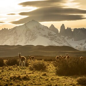 Rondreis ArgentiniÃ« & Chili, 23 dagen – afbeelding 2