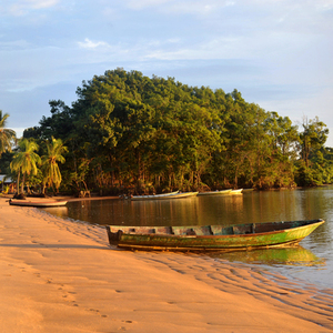Rondreis Suriname, 20 dagen – afbeelding 2