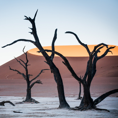 Rondreis NamibiÃ«, 21 dagen lodge/hotelreis