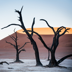 Rondreis NamibiÃ«, 21 dagen lodge/hotelreis – afbeelding 2