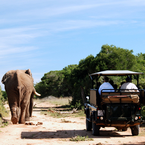 Rondreis Zuid-Afrika, 15 dagen – afbeelding 2