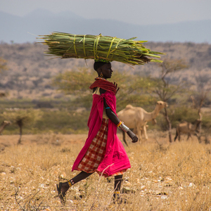 Rondreis Kenia & Tanzania, 18 dagen lodge/hotelreis – afbeelding 2