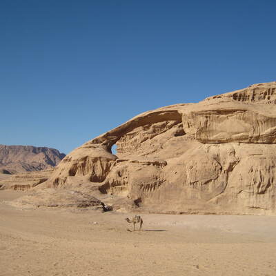 Rondreis JordaniÃ«, 8 dagen