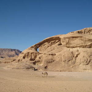 Rondreis JordaniÃ«, 8 dagen – afbeelding 2