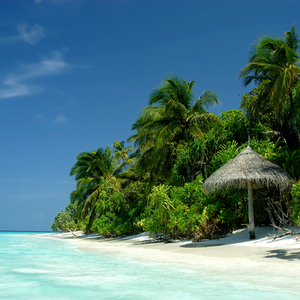 Rondreis Sri Lanka & Malediven, 21 dagen – afbeelding 2
