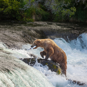 Rondreis Alaska, 21 dagen hotel/cabinreis – afbeelding 2