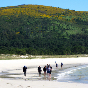 Wandelreis Noord-Spanje, 8 dagen – afbeelding 2