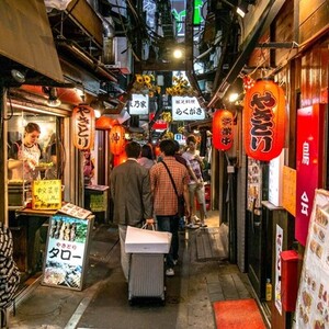 Japan, 21 dagen – afbeelding 2