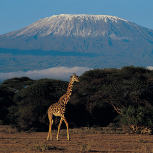 Tanzania & Zanzibar, 15 dagen – afbeelding 2