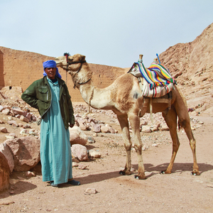 Egypte, 9 dagen – afbeelding 2
