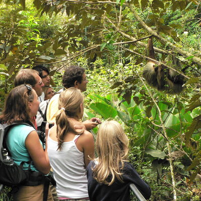 Costa Rica, 20 dagen