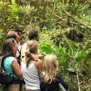 Costa Rica, 20 dagen – afbeelding 2