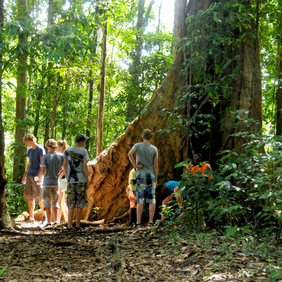 Suriname, 20 dagen