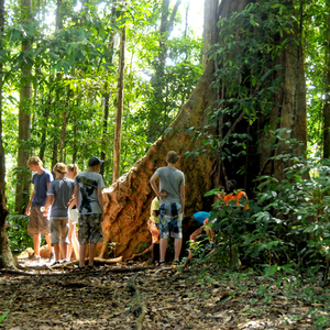 Suriname, 20 dagen – afbeelding 2