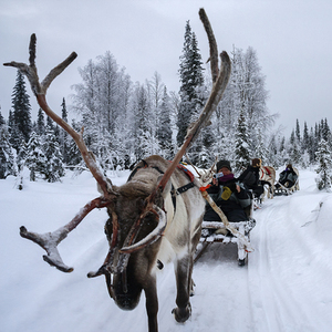 Lapland, 7 dagen – afbeelding 2