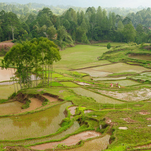Rondreis Sulawesi, 24 dagen – afbeelding 2