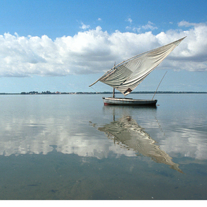 Rondreis Zuid-Afrika & Mozambique, 20 dagen – afbeelding 2