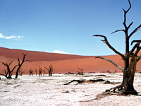 Twijfelfontein Namibie